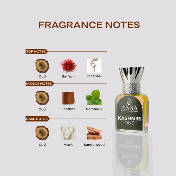 5-Attar Discovery Combo (12ml Each)