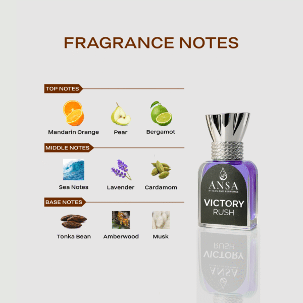 5-Attar Discovery Combo (12ml Each)